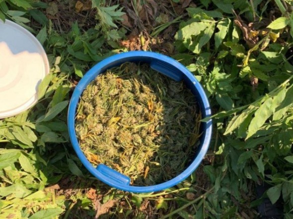 Șapte kilograme de cannabis și doi reținuți. Un membru a grupării este cercetat în stare de libertate